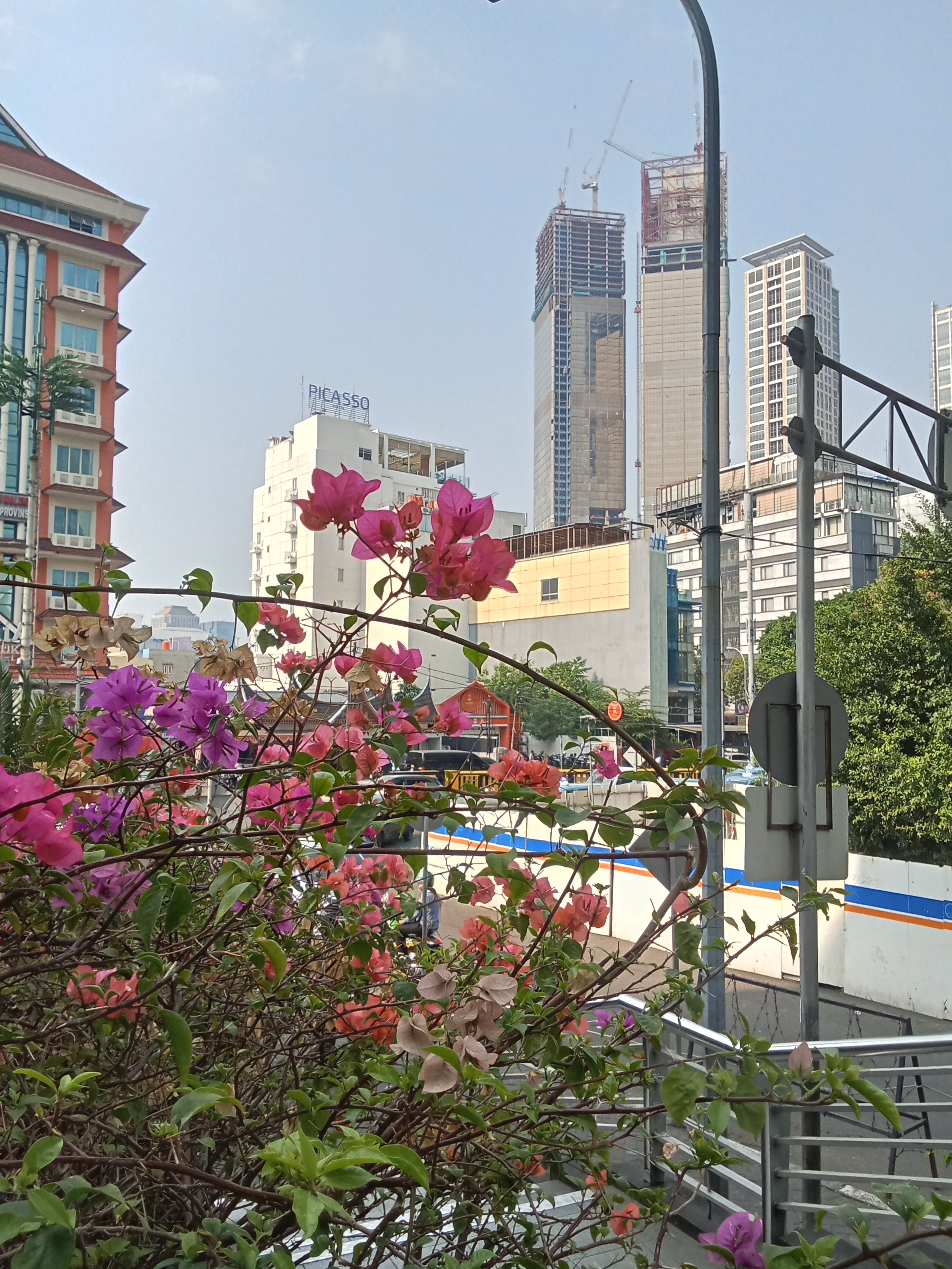 1000211875.jpg