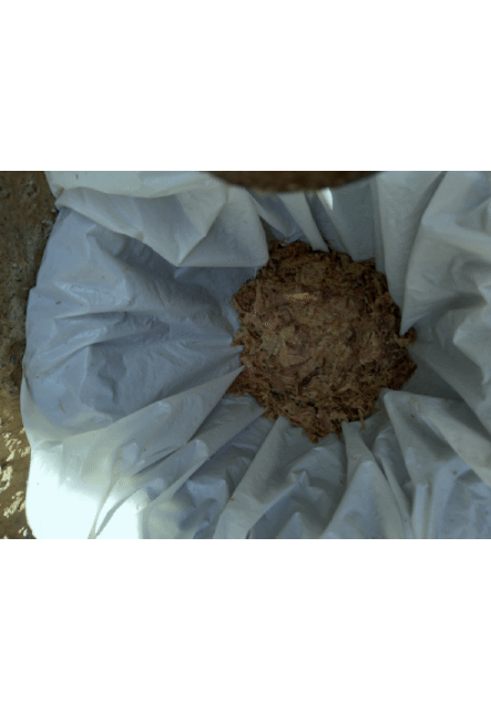 20210323_060911.gif