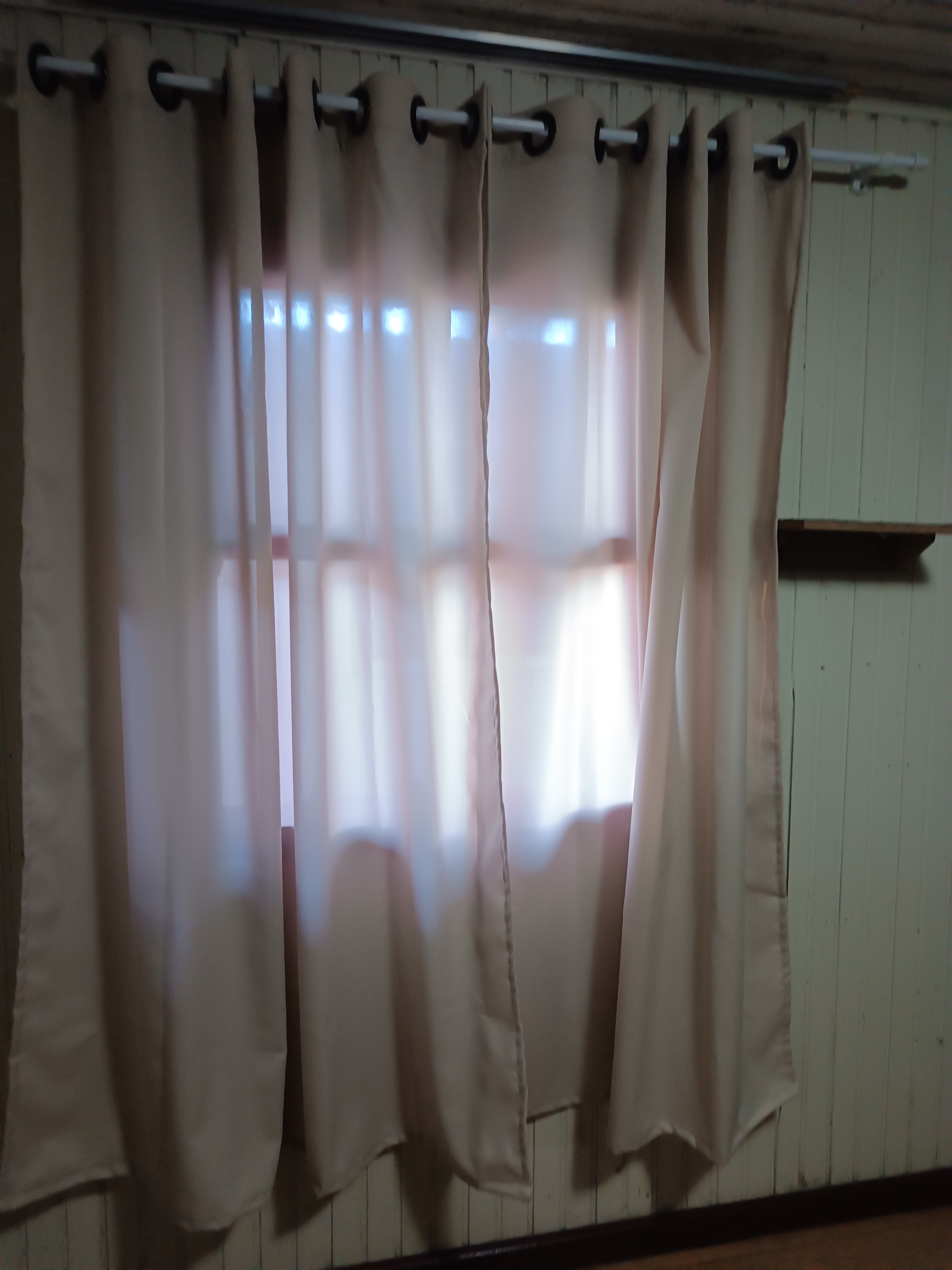 IMG_20260725_172332.jpg