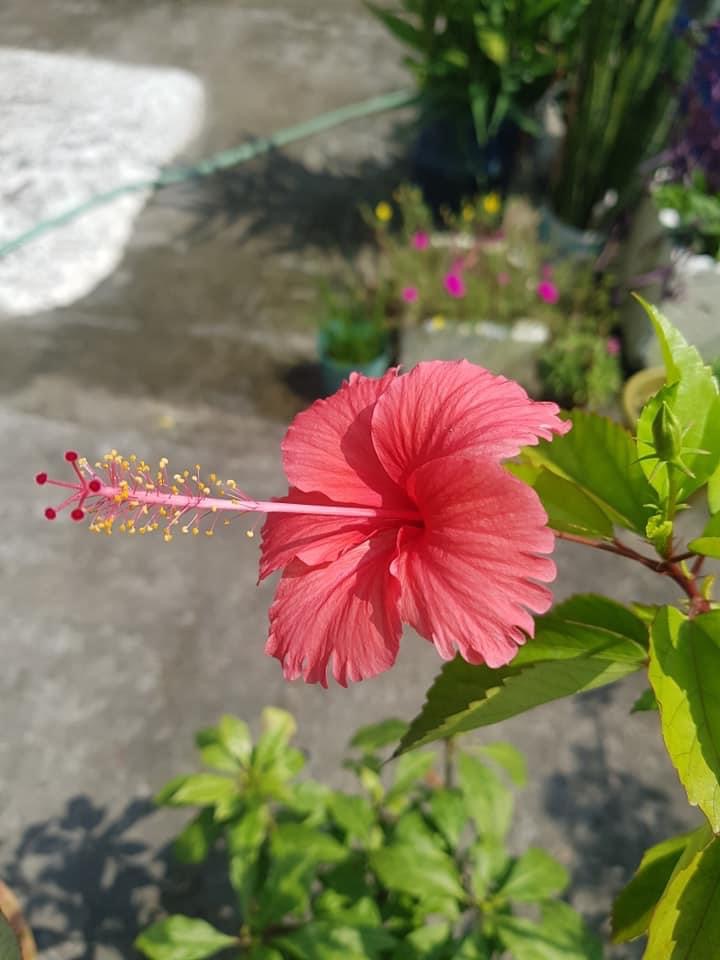 19DB328C-3E27-4F11-BEB5-45DDDE1612C5.jpeg