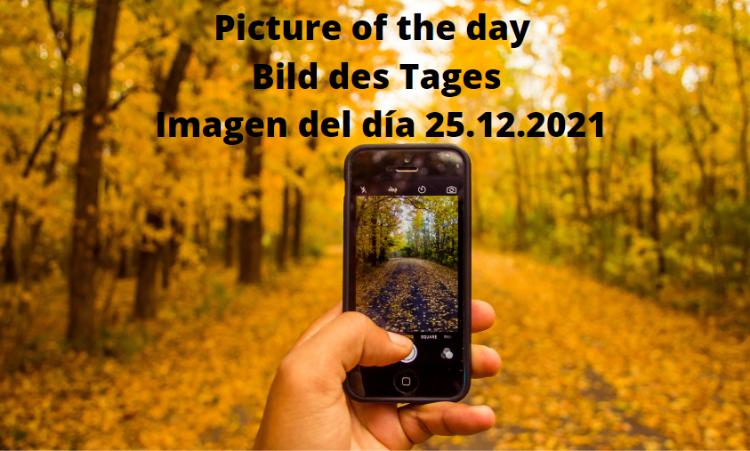 Kein Bild