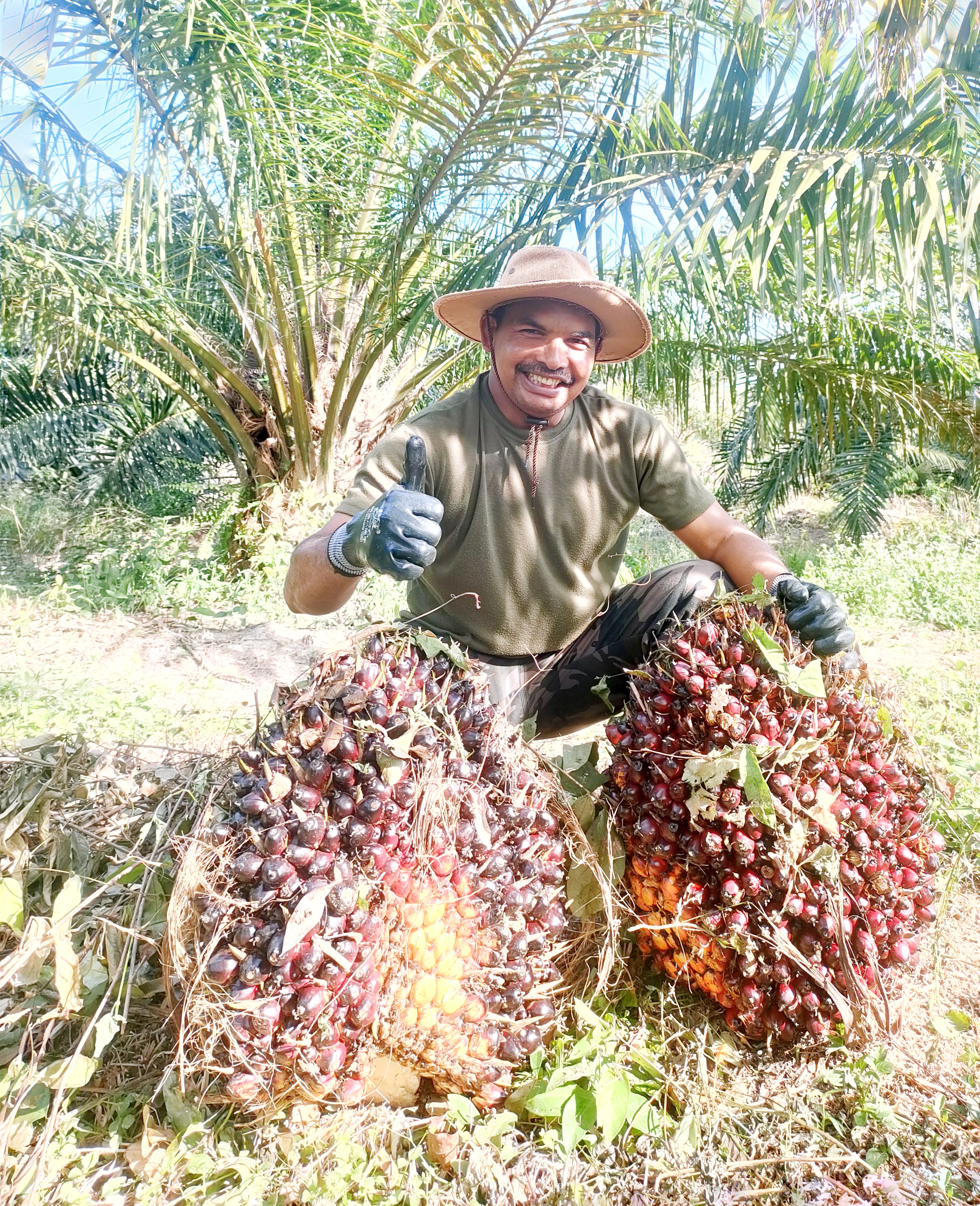 IMG20241114085250 (1).jpg