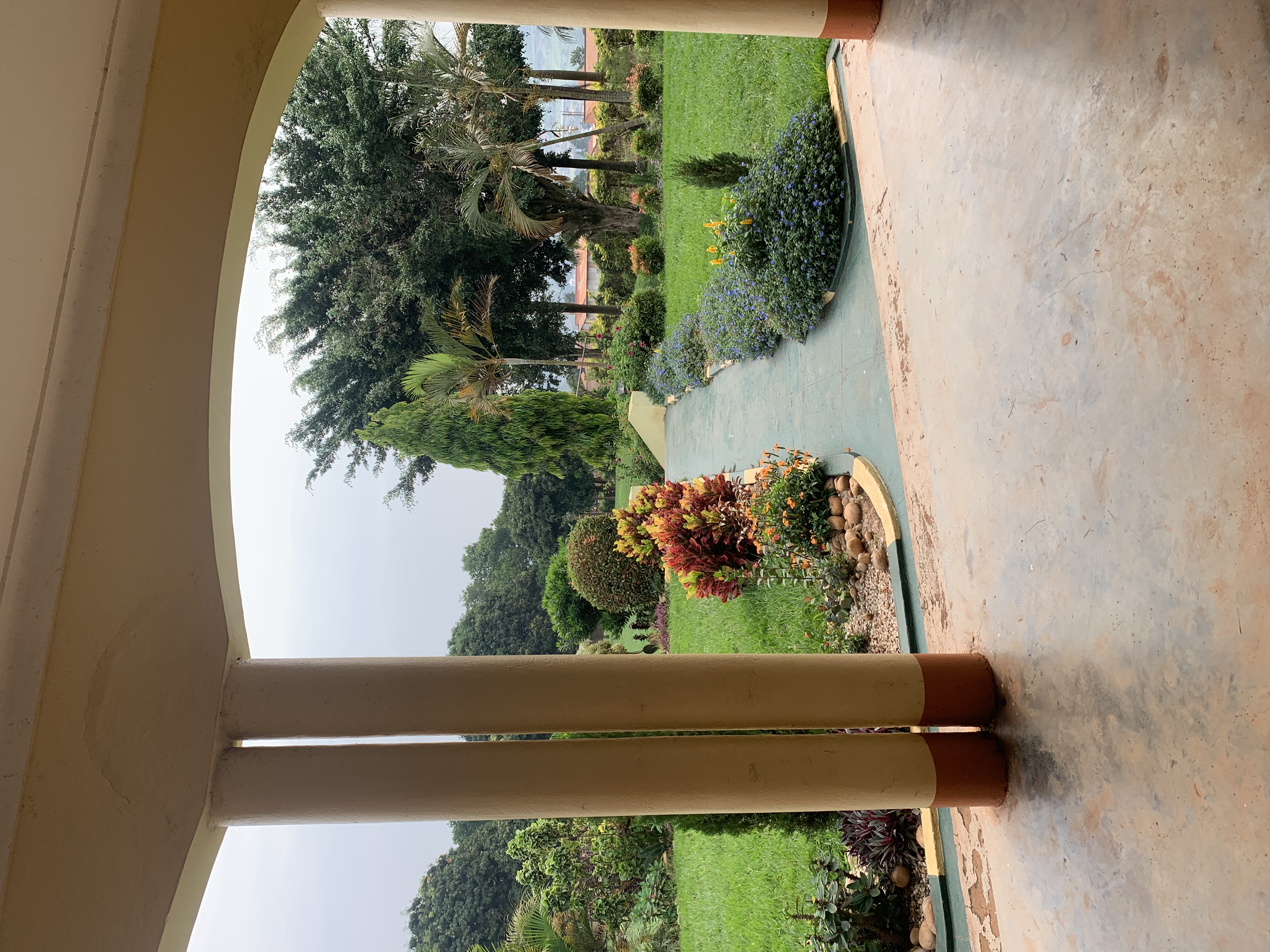 IMG_1378.jpeg