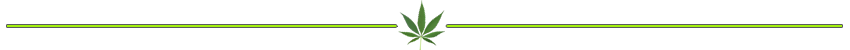 cannabis-divider-lime.png