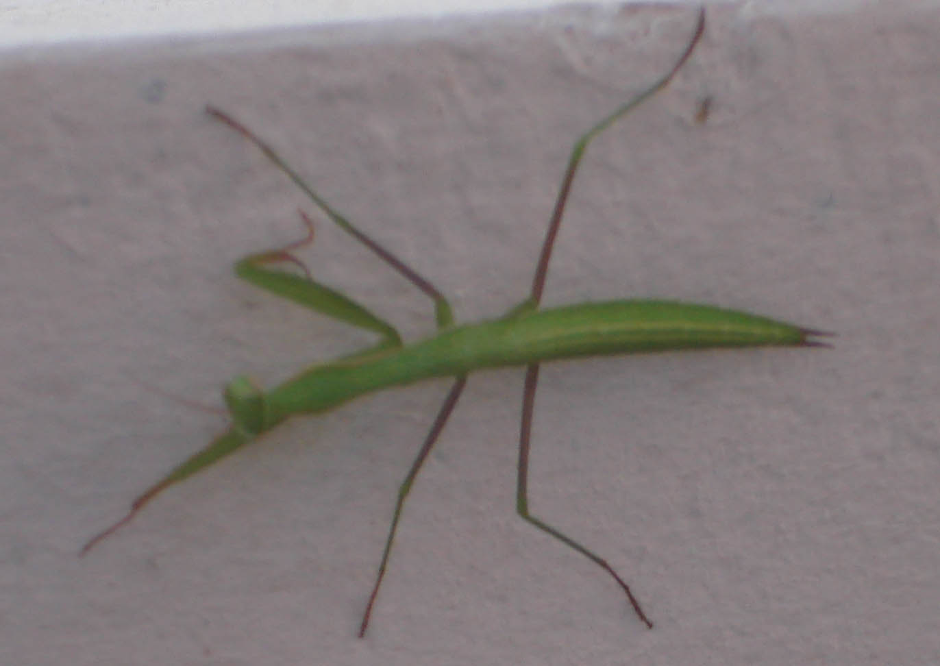 DSC05025.JPG