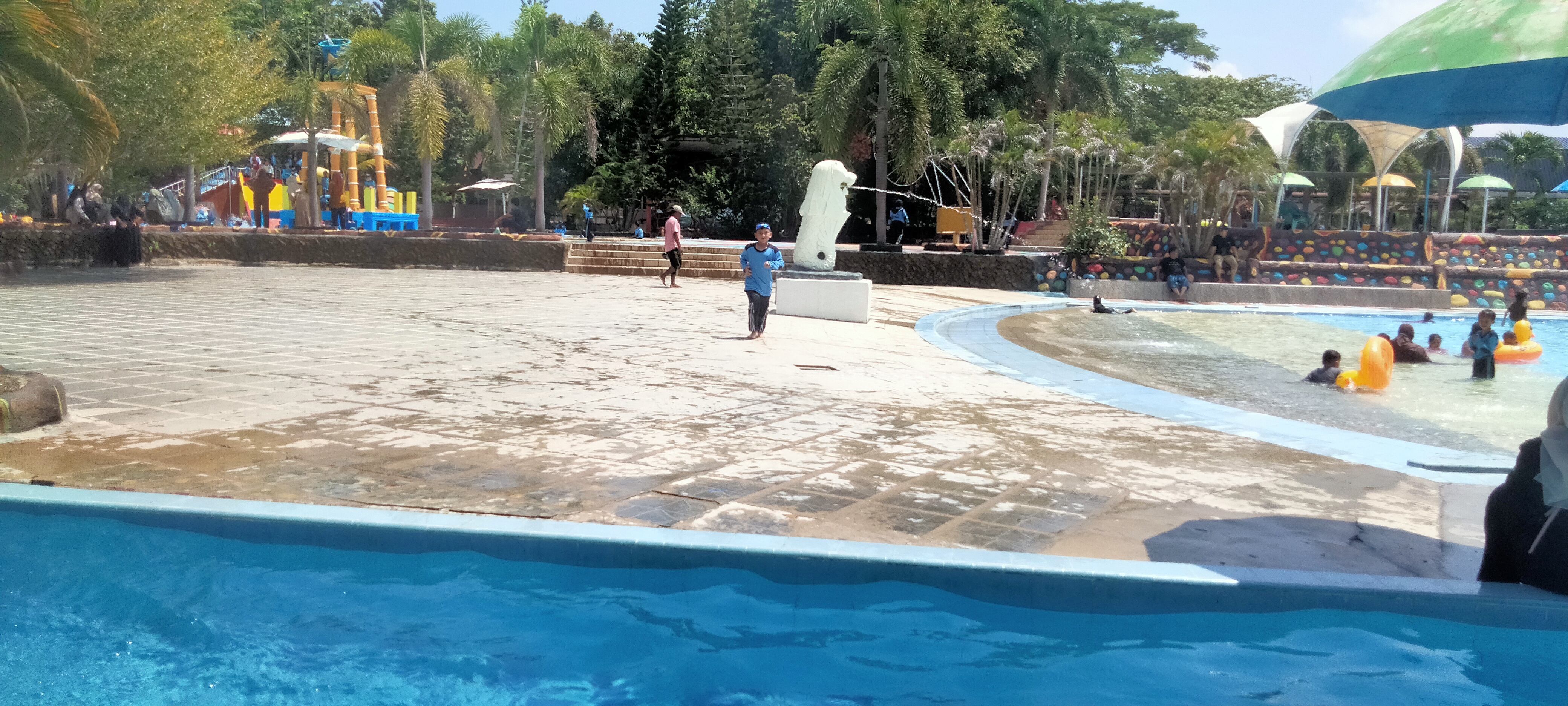 IMG20241024124849.jpg