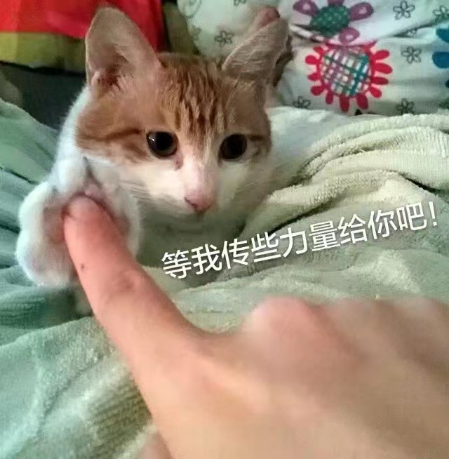 微信图片_20210628161426.jpg