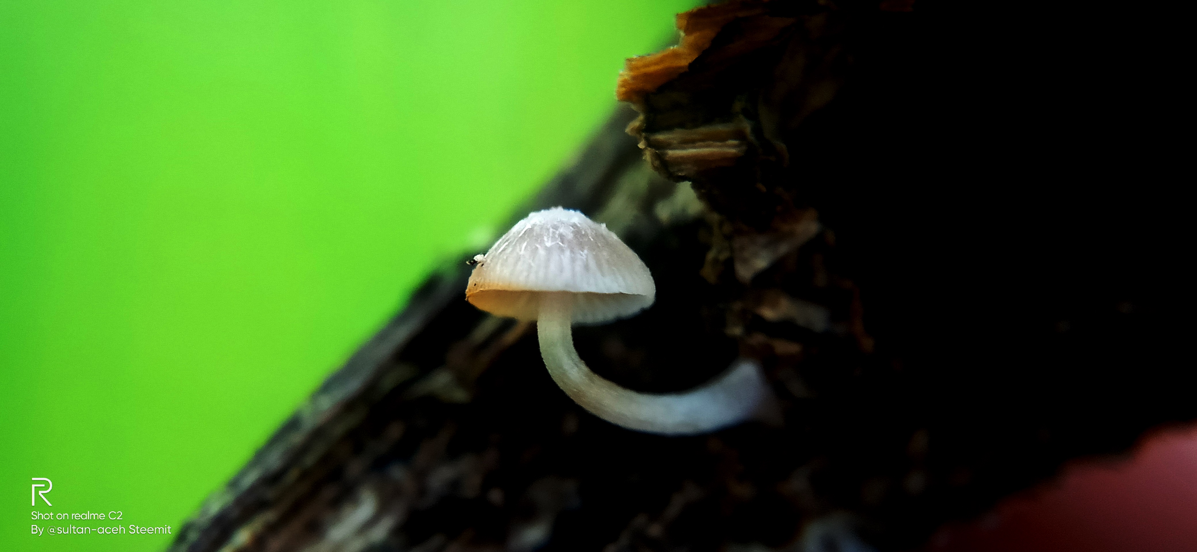 IMG20220303160319.jpg