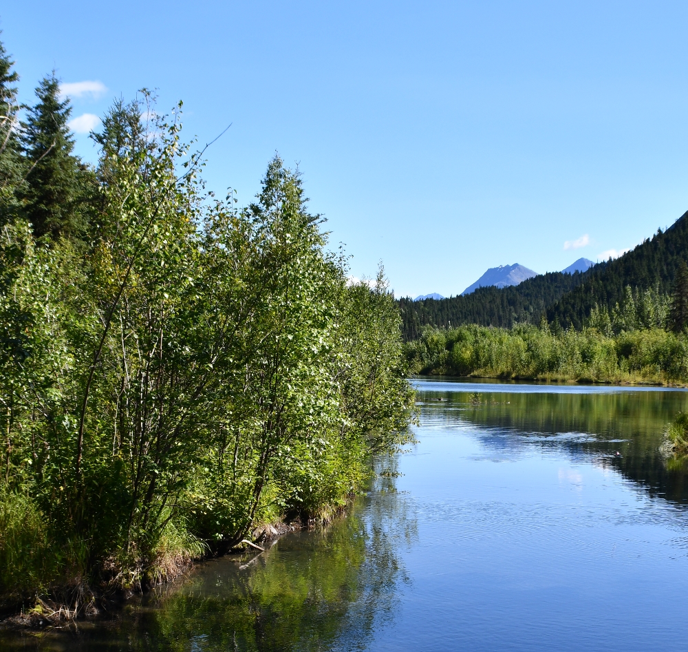 200 tern lake fishing spot.jpg