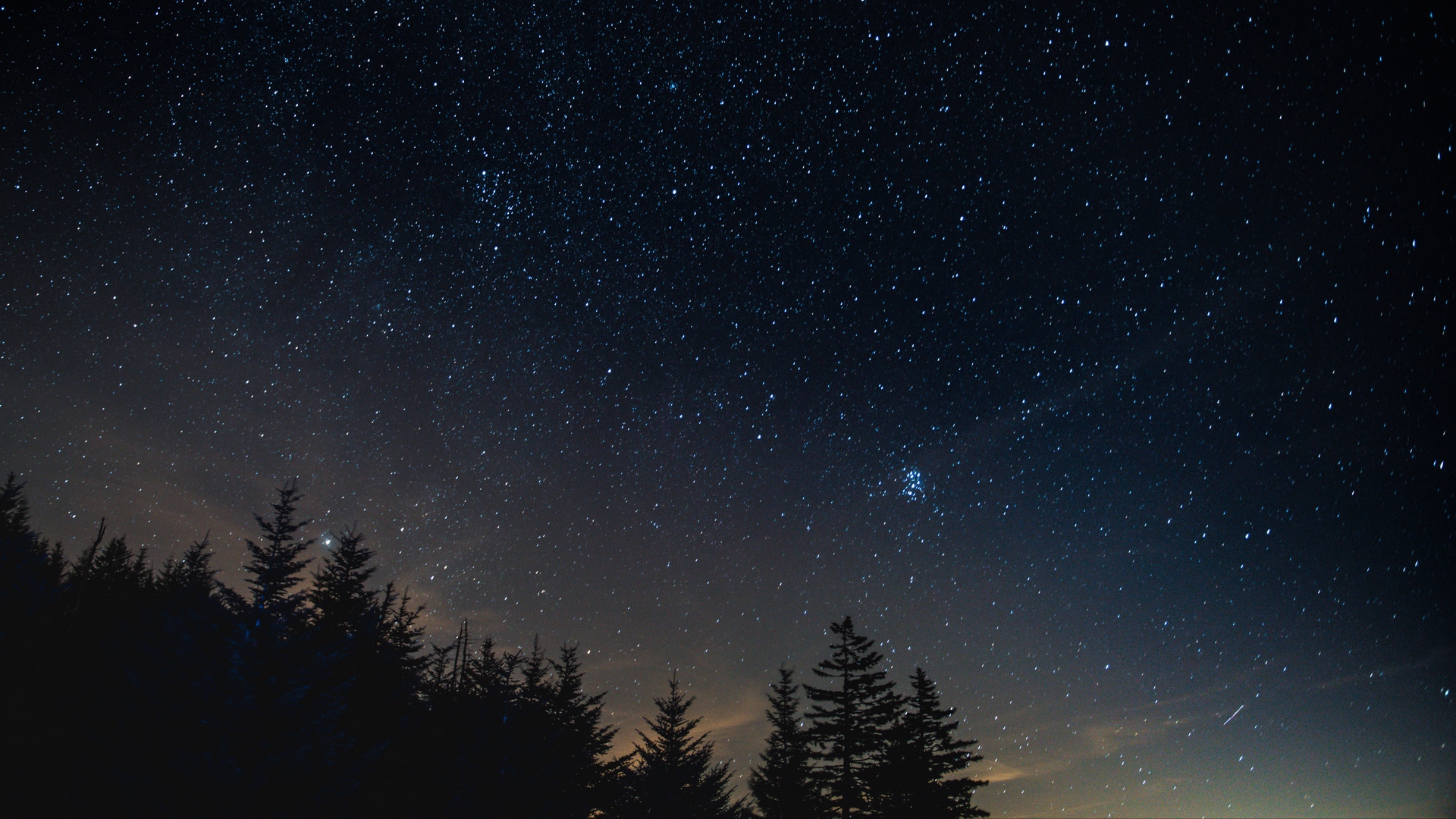 starry_sky_night_trees_night_landscape_118760_1920x1080.jpg