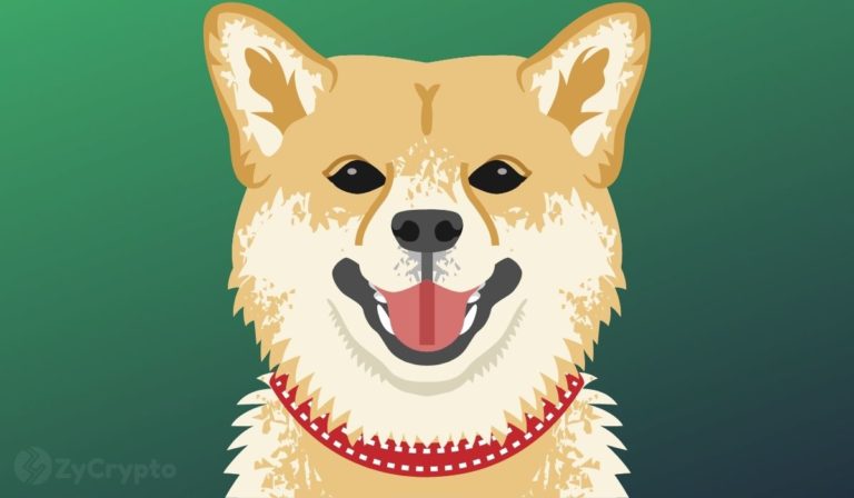 DOGE-Shoots-Up-As-Elon-Musks-New-Twitter-Picture-Excites-Legion-Of-Dogecoin-Fans-768x448.jpg