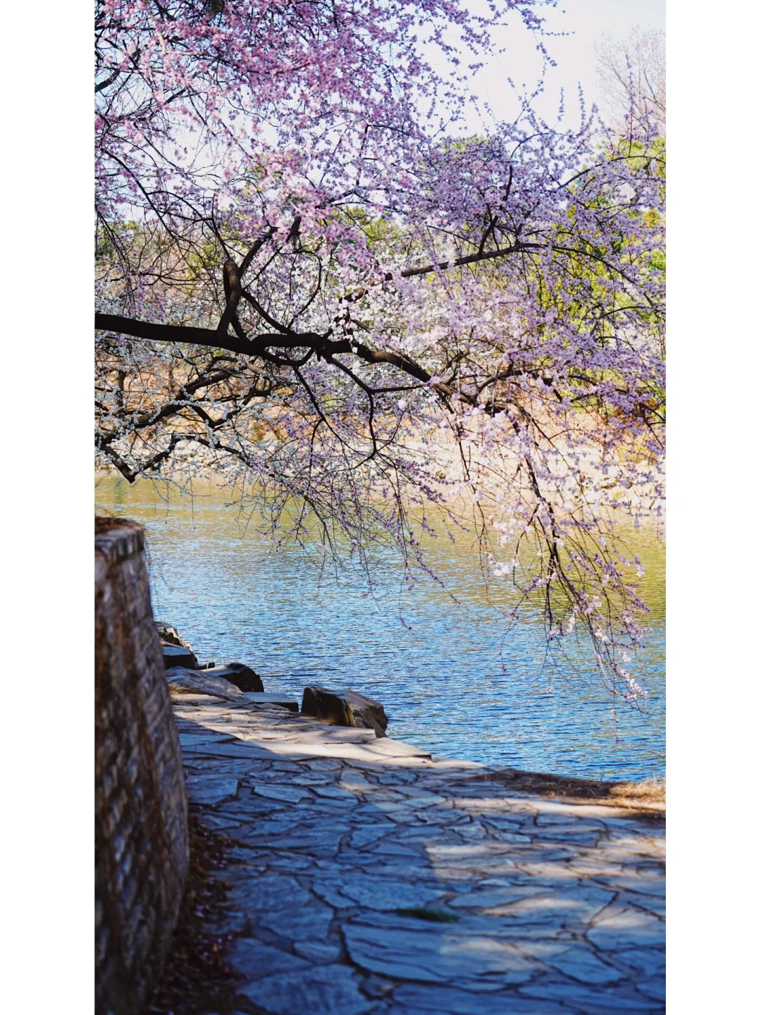 143.webp