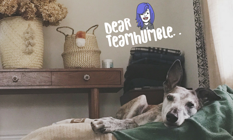 @dayleeo Steemit-Covers (7).png