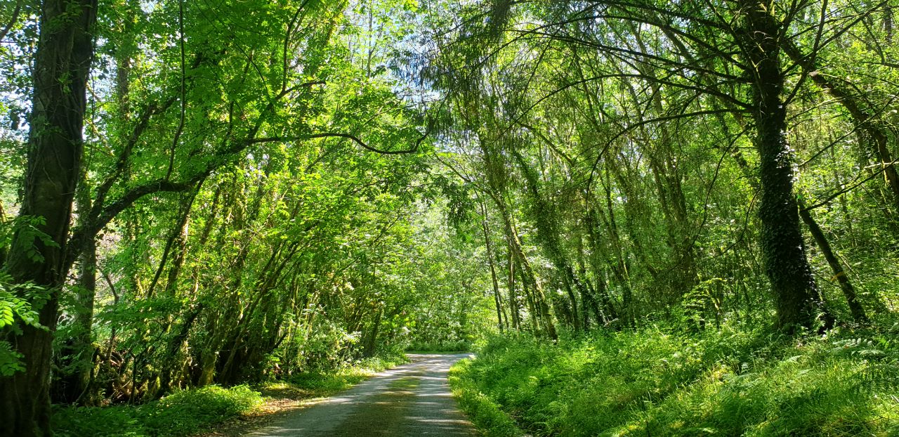 IMAGE 2019-07-04 09:26:41.jpg