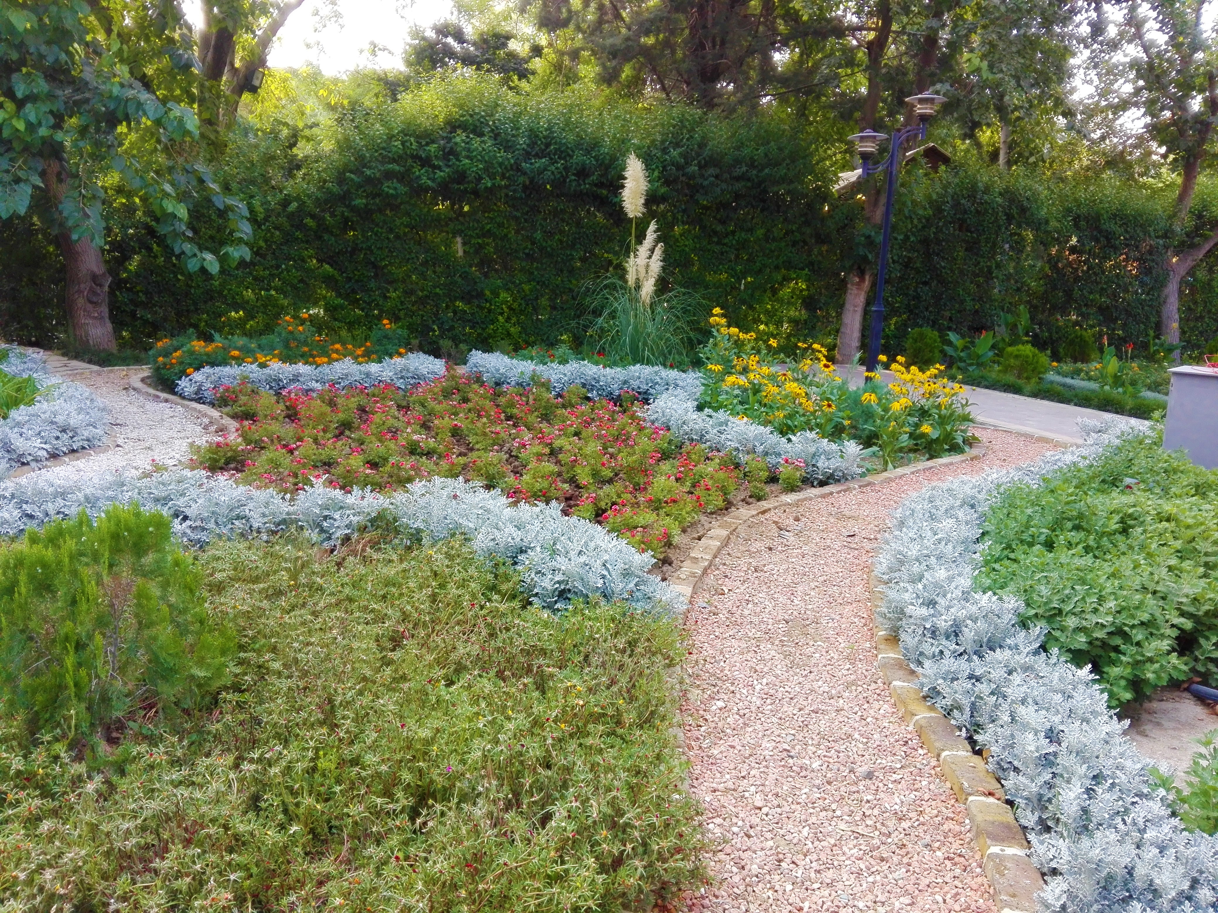 flowernatureb (333).jpg