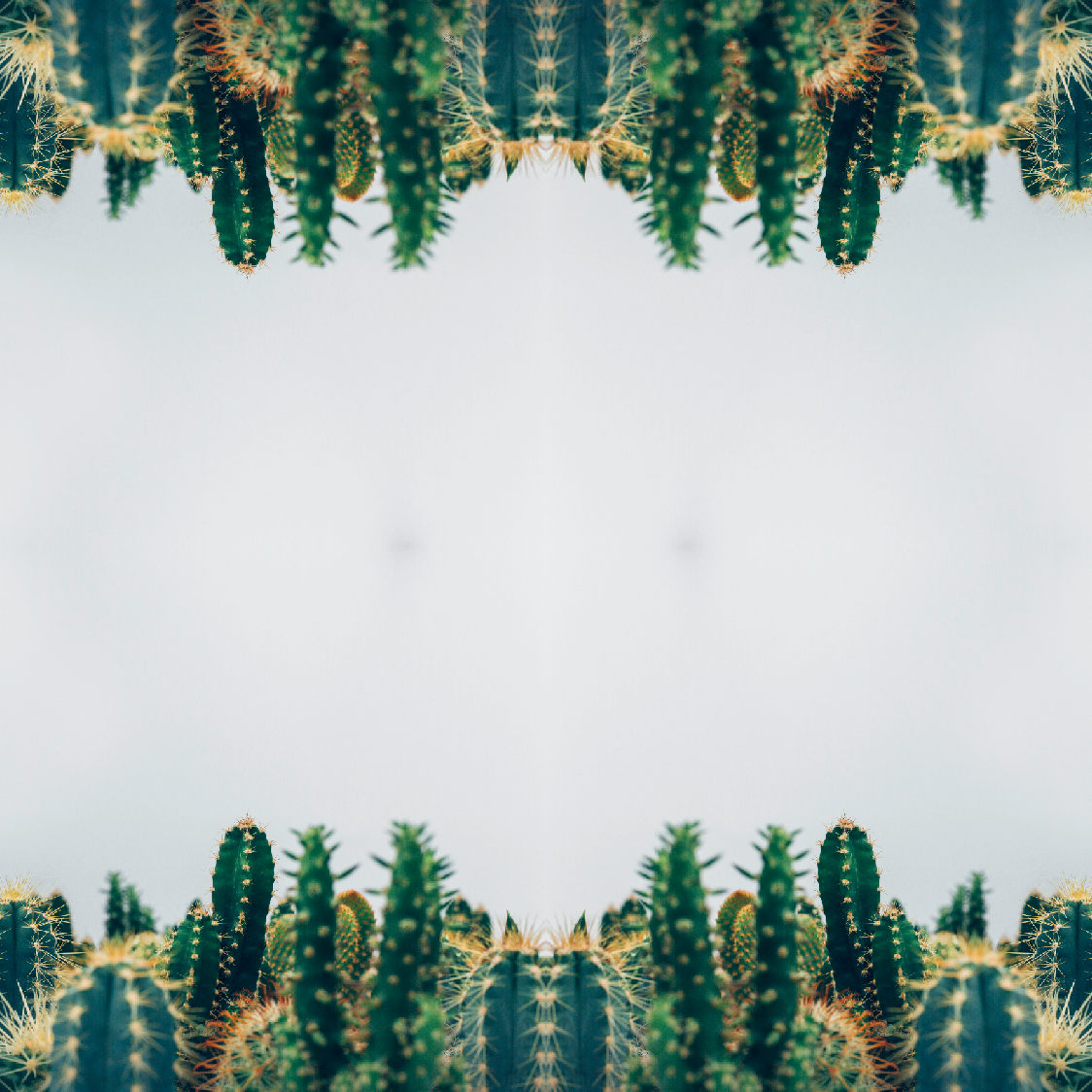 5A06OWU6Wuc_Raw_mirror.png