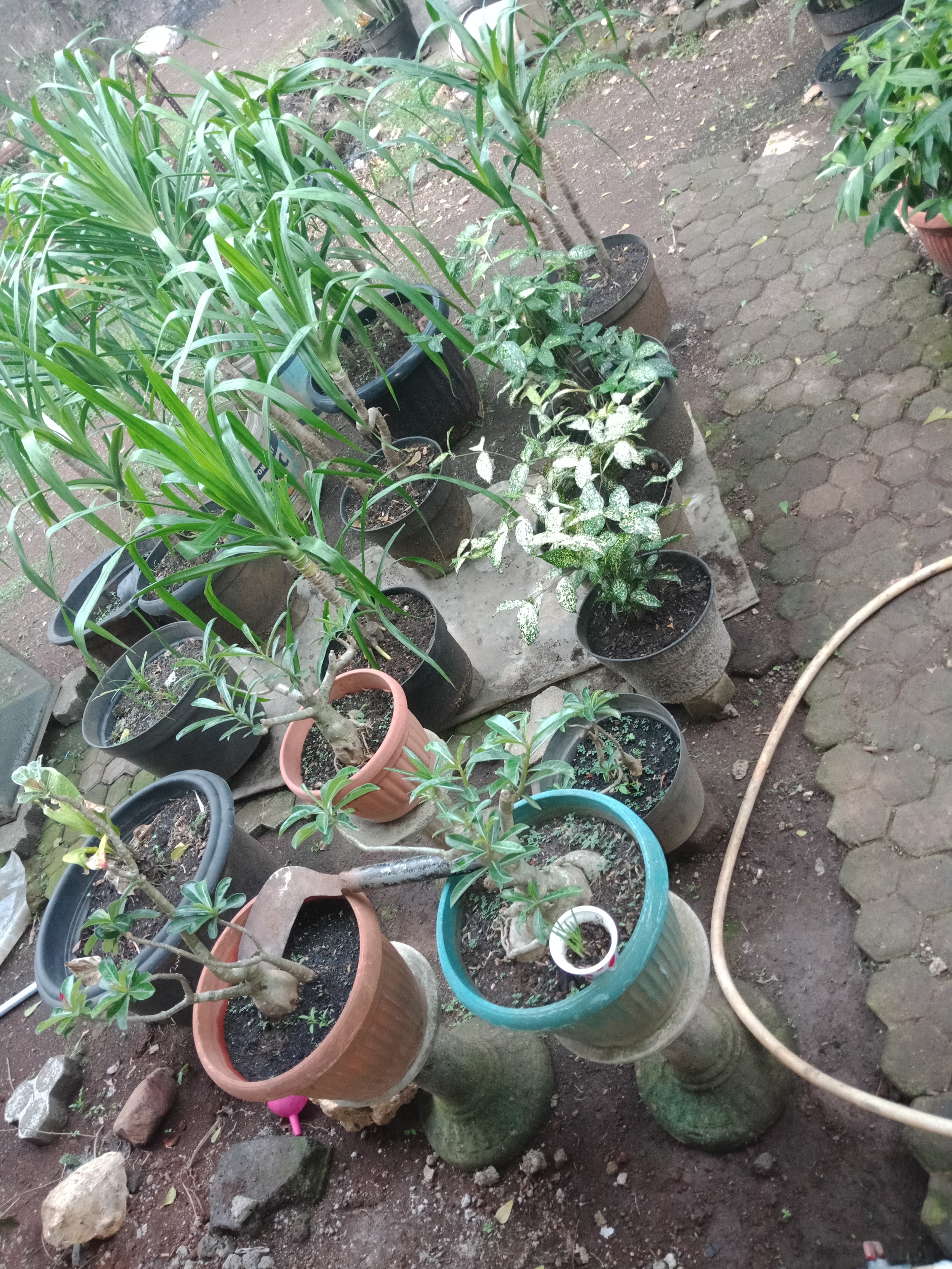 IMG20181101163108.jpg