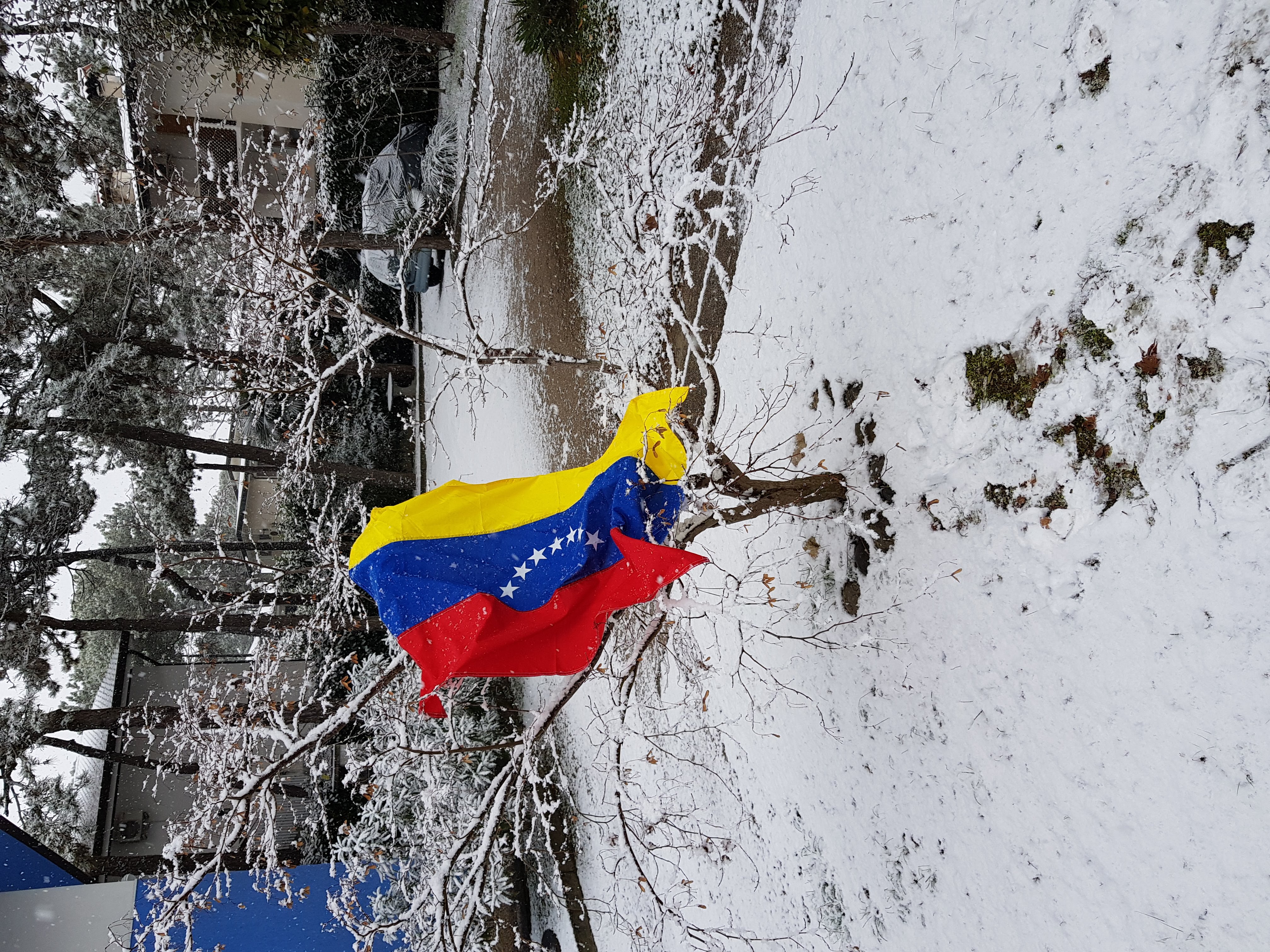 20190123_094958.jpg