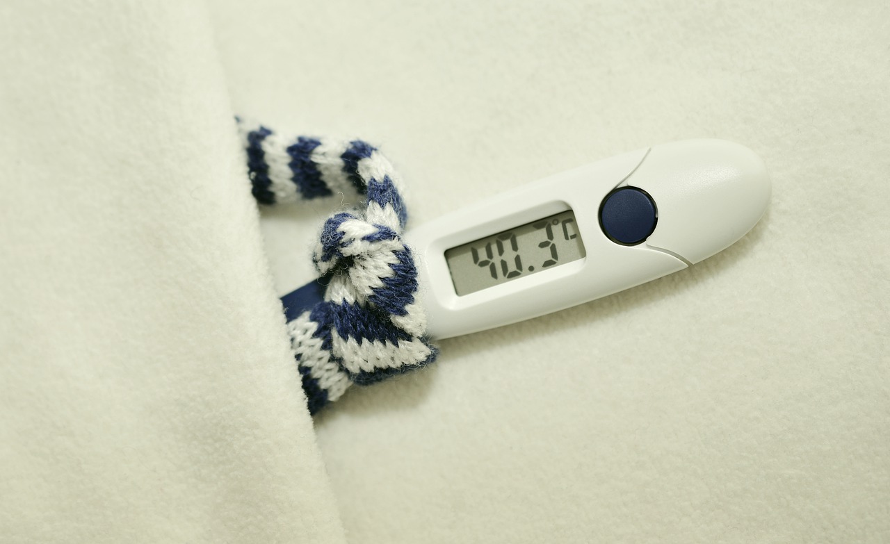 fever-3063126_1280.jpg