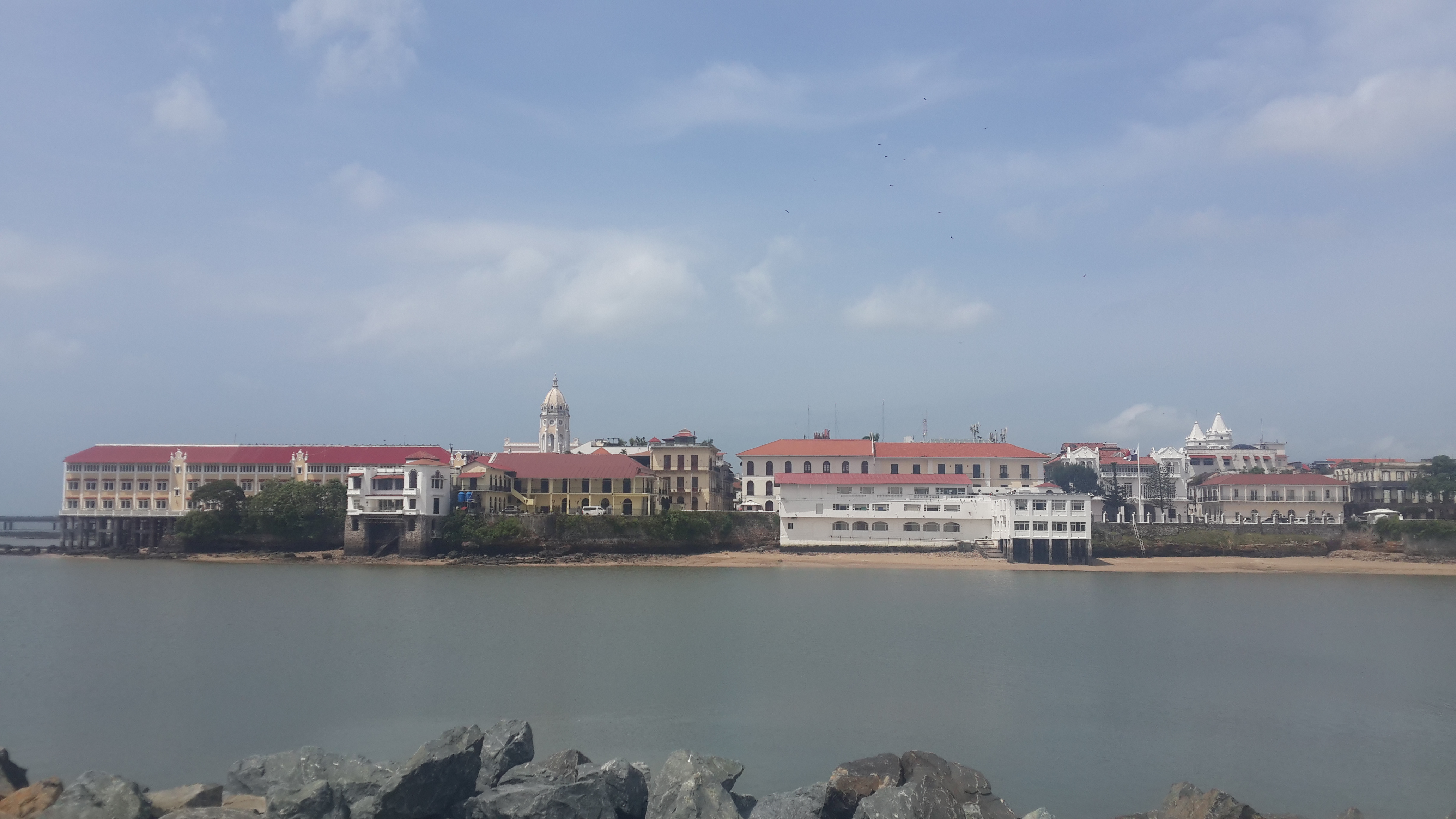 20190706_d3keho9.jpg