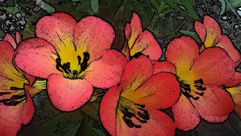 flower-cartoon2.jpg
