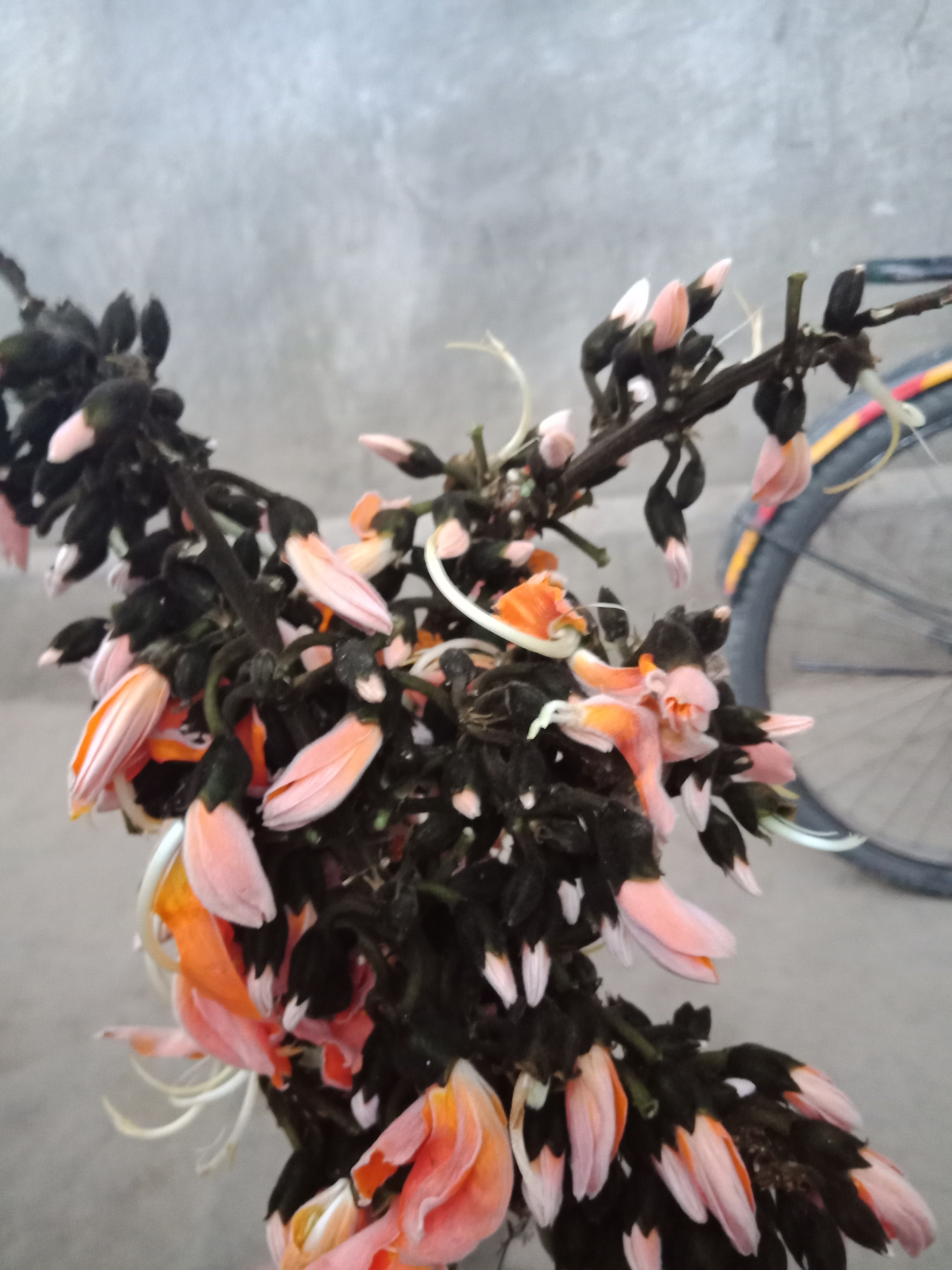 IMG20190317174812.jpg