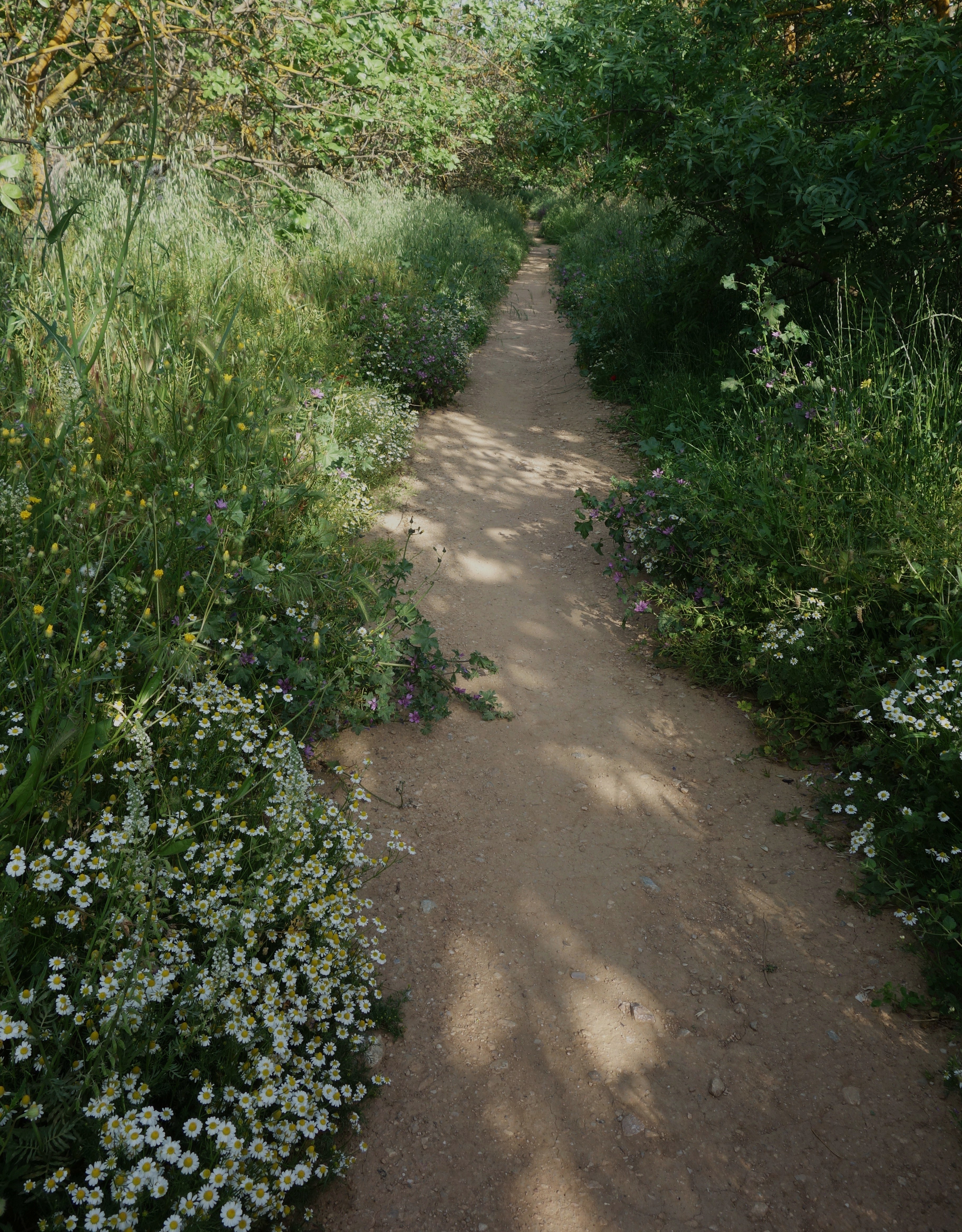 DSC02174.JPG