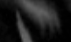 Screen Shot 2019-05-19 at 3.11.21 PM.png