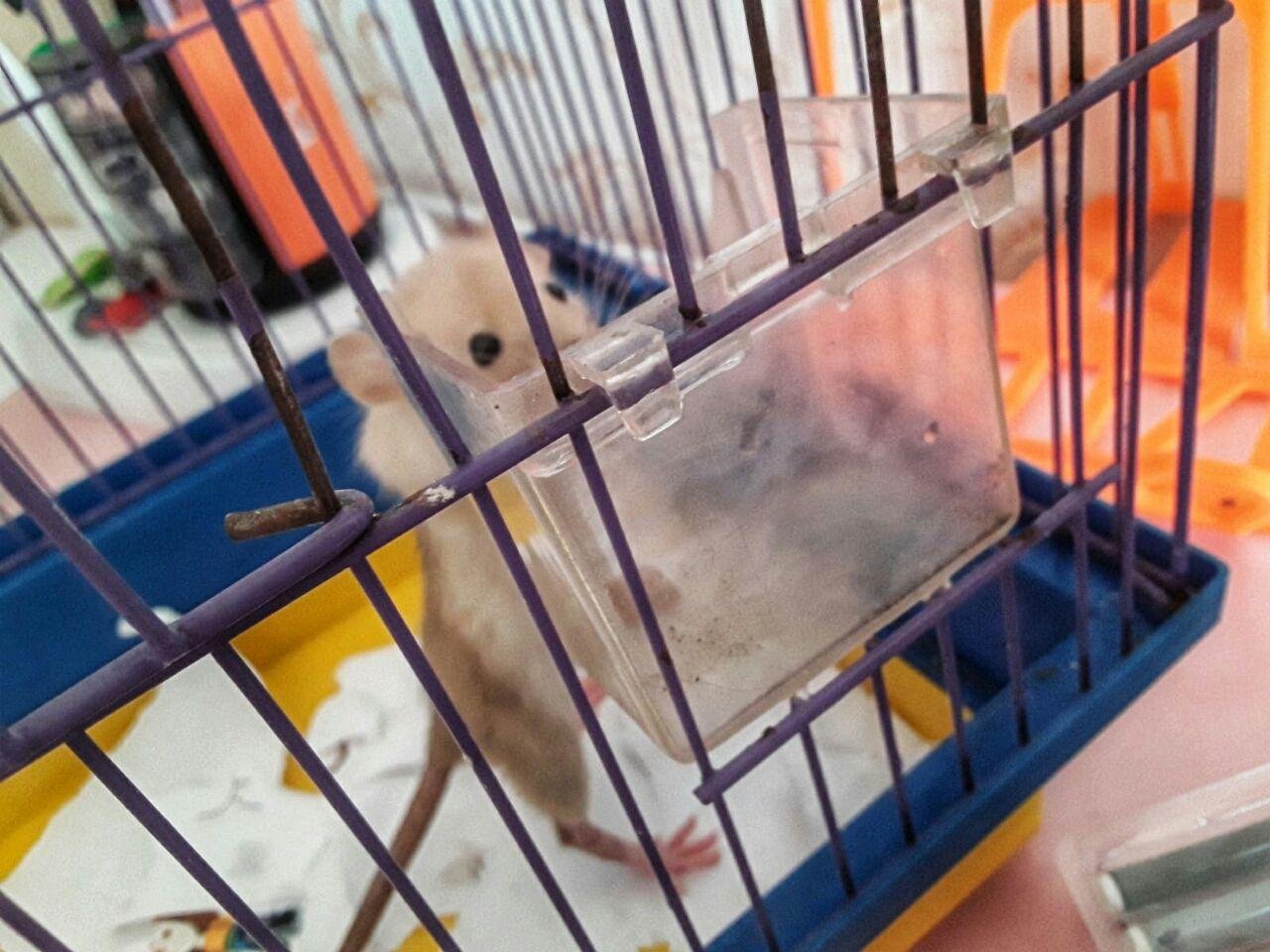2bP4pJr4wVimqCWjYimXJe2cnCgn8erSbeem2ZfdoWW.jpg