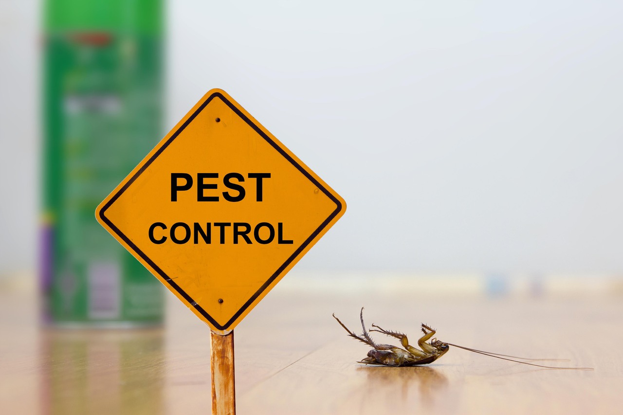pest-control.jpg