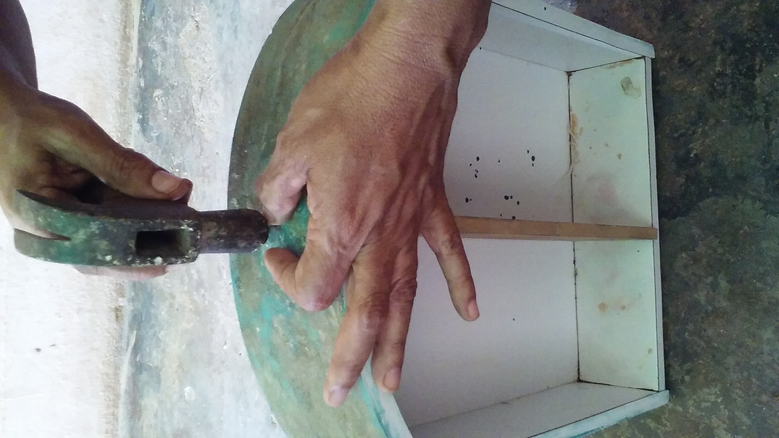 20220126_111807.jpg