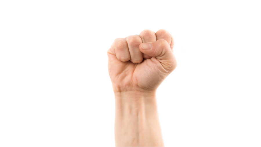 hand-with-fist_small.jpg