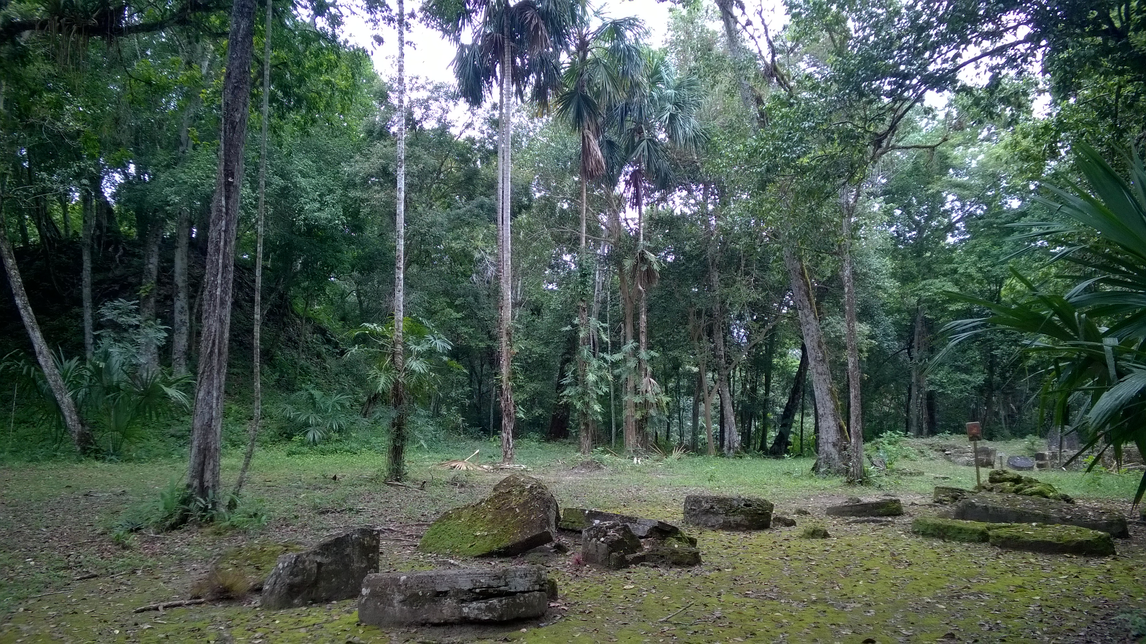 WP_20180302_013.jpg