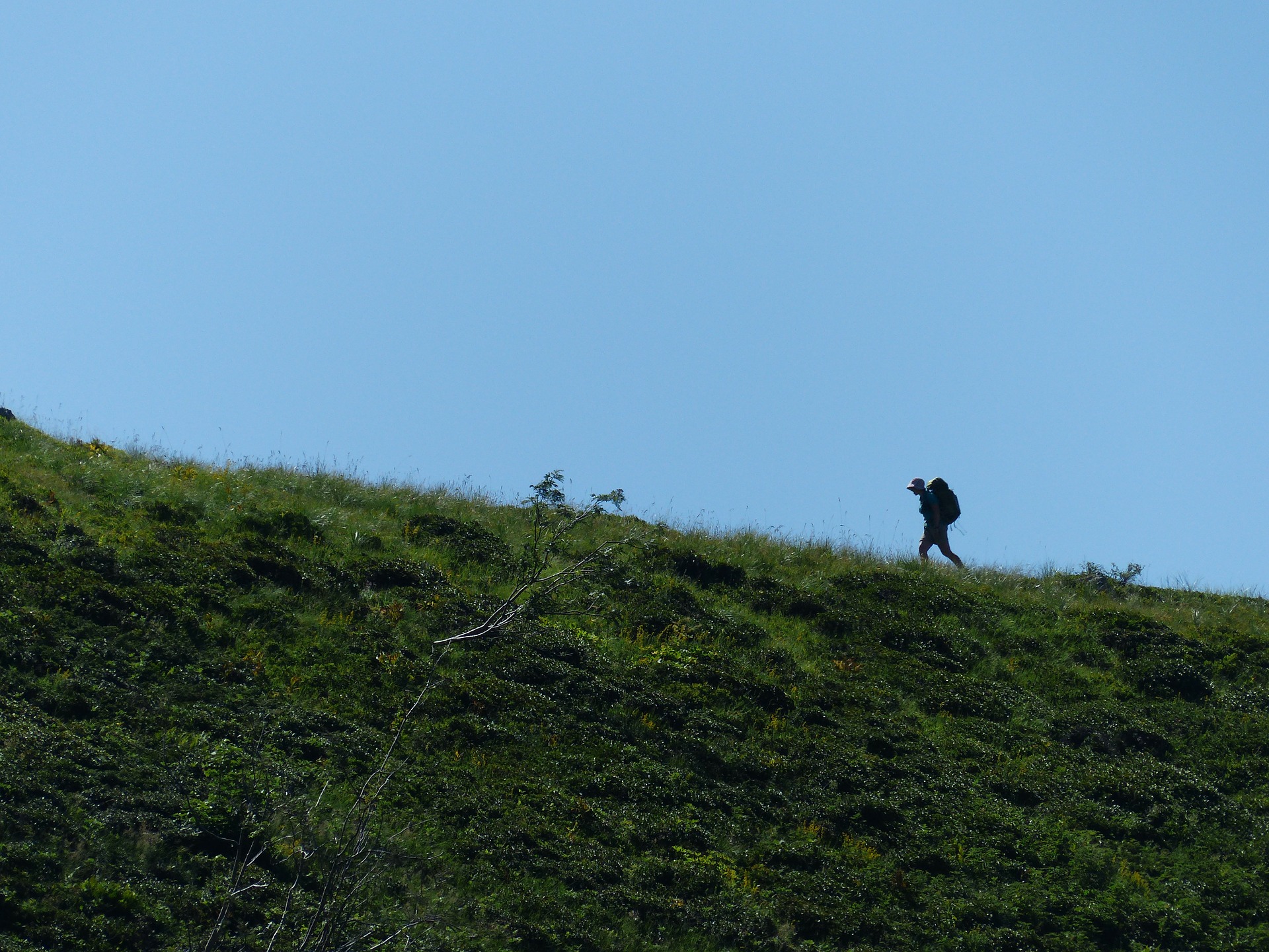 wanderer-177370_1920.jpg