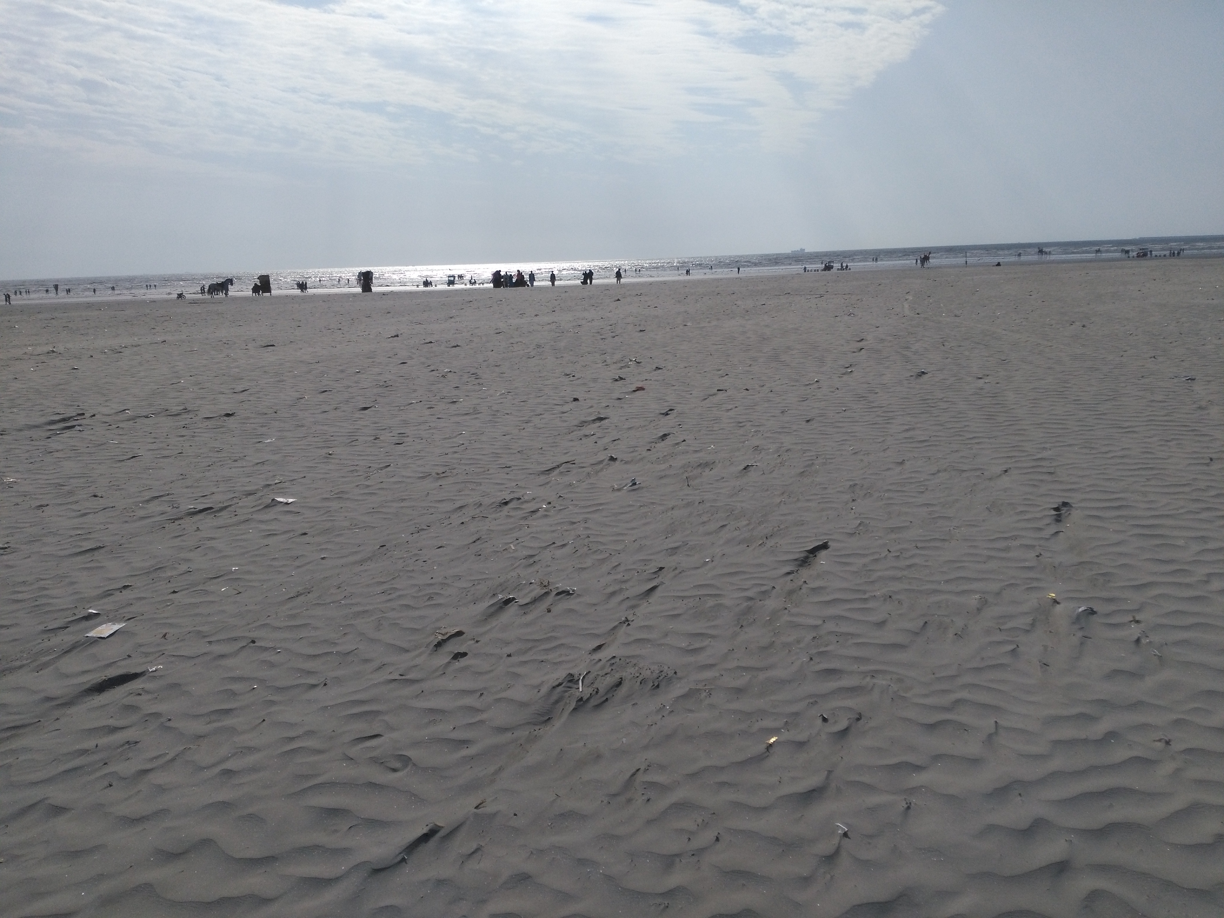 IMG_20190218_153147.jpg