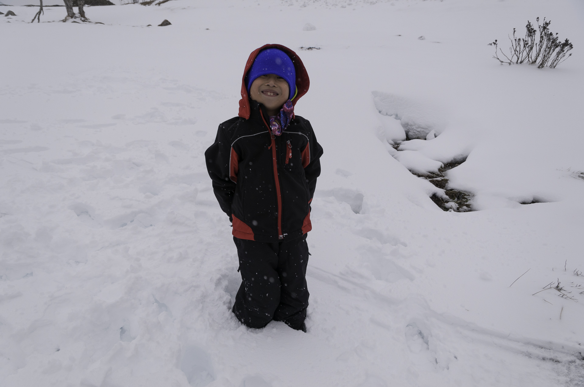 Thiên-San at the Snow
