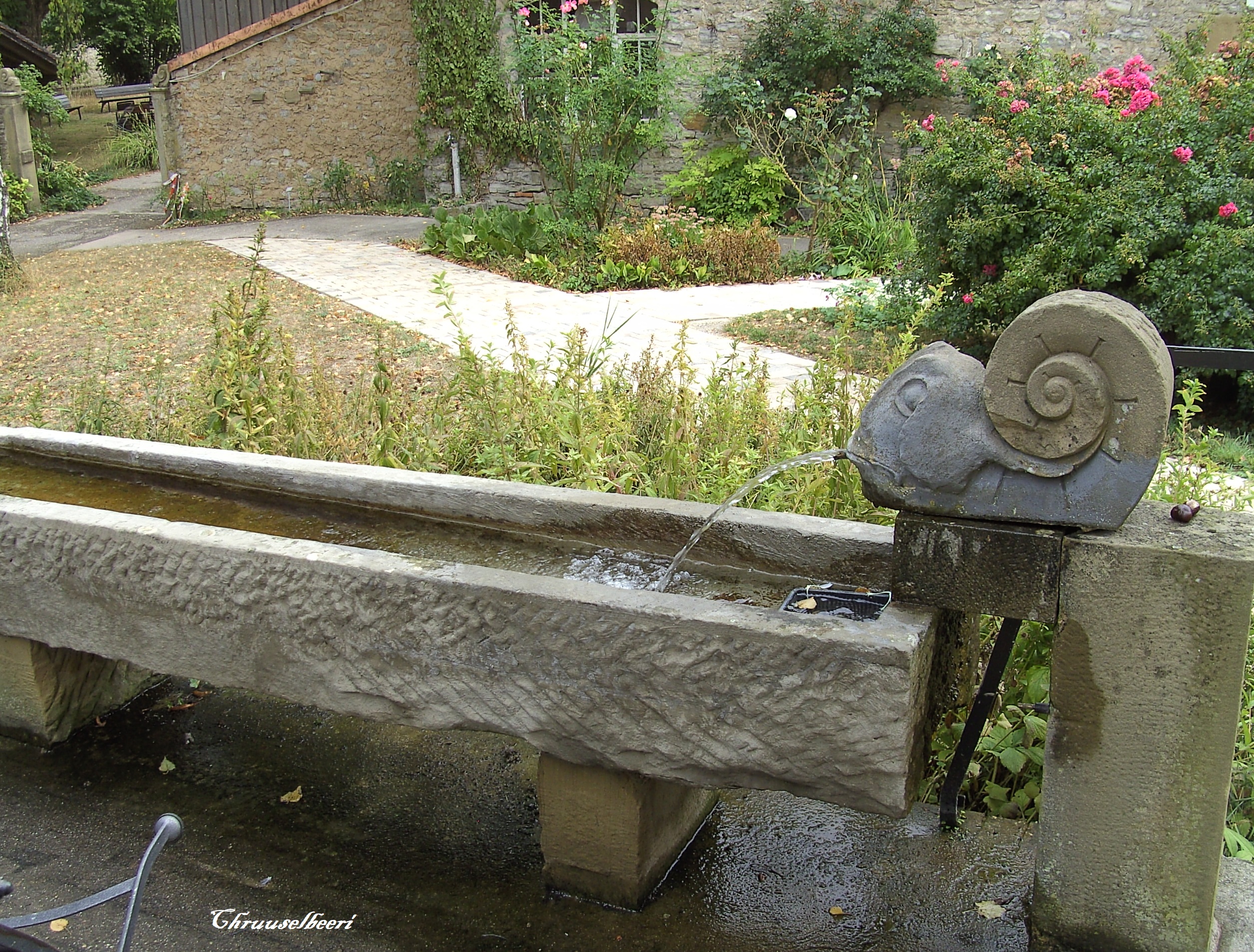 Brunnen_05.jpg