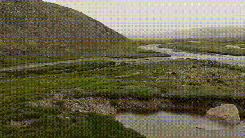 VID_20240502_003704.gif