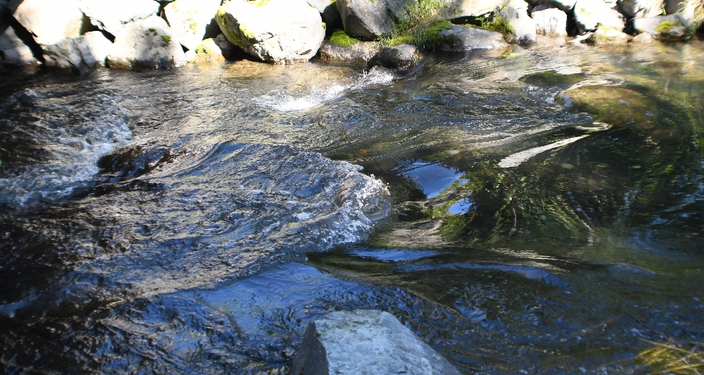 202 fast auto flowing water.jpg