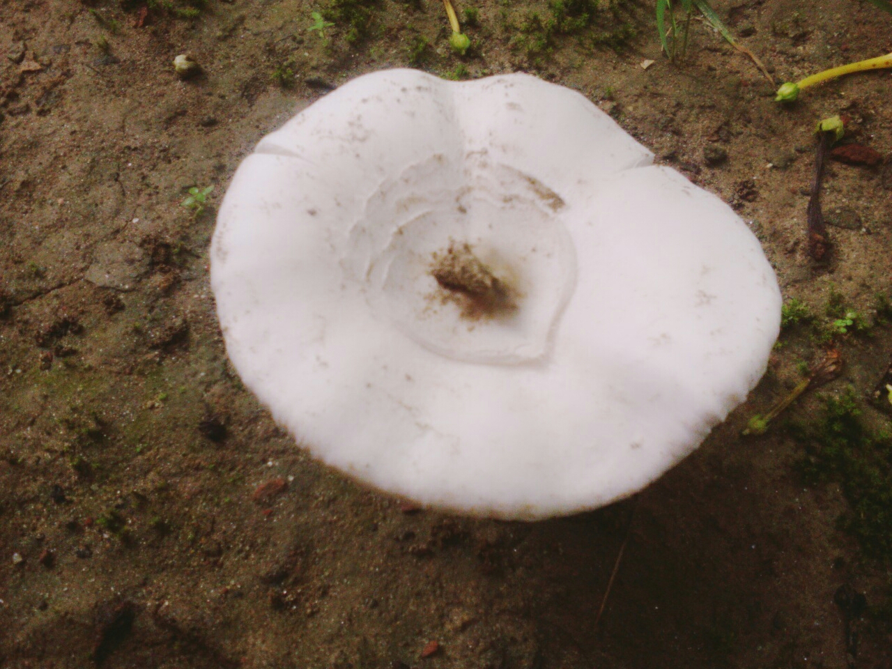 RABADABA_20160918_073045_1600247246.jpg