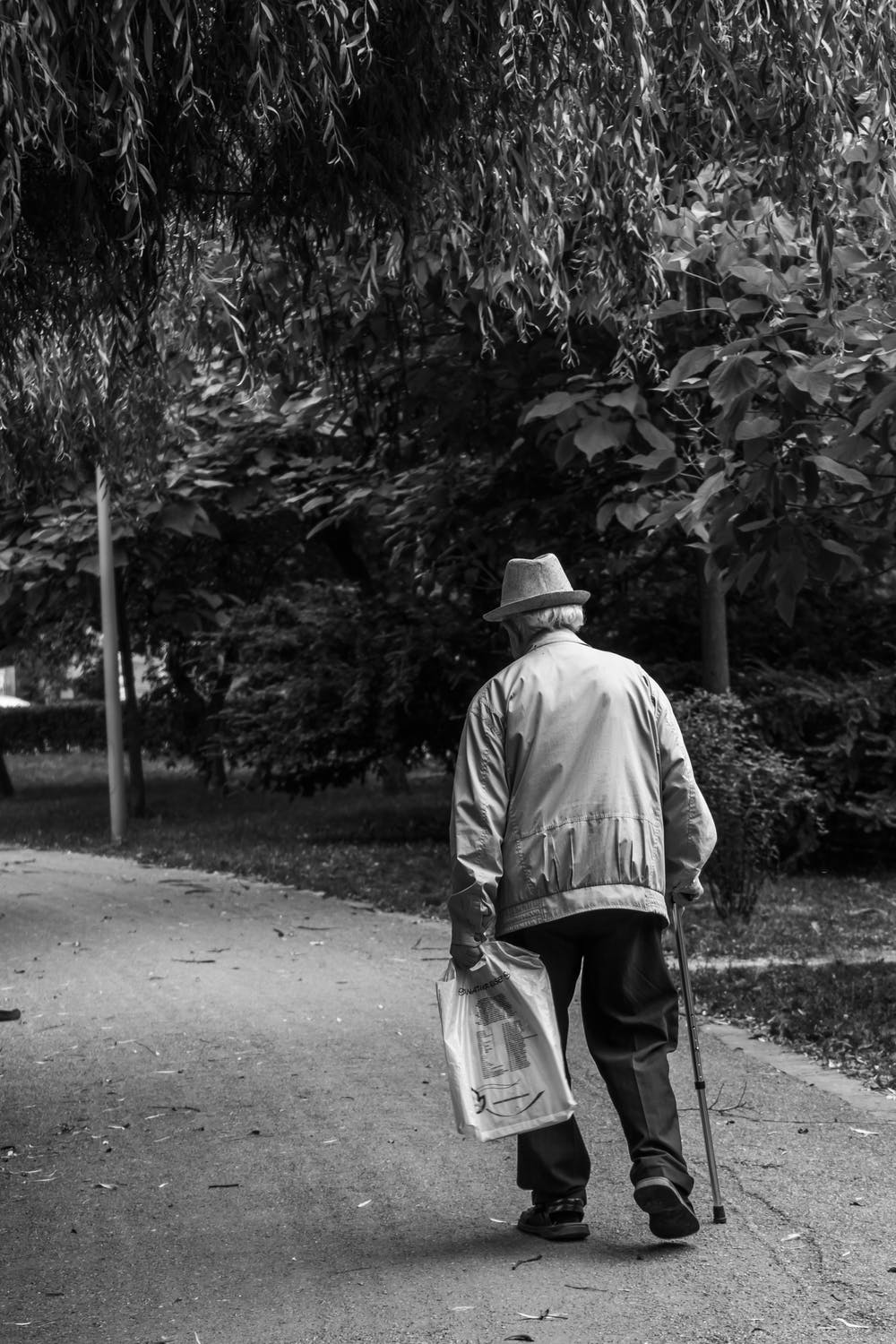 pexels-photo-2586537.jpeg
