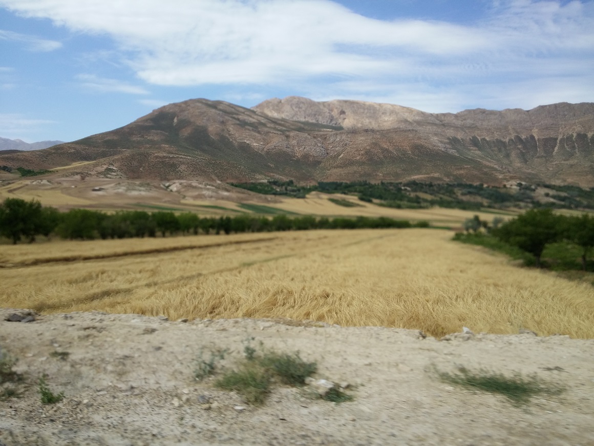 20150724_102421.jpg