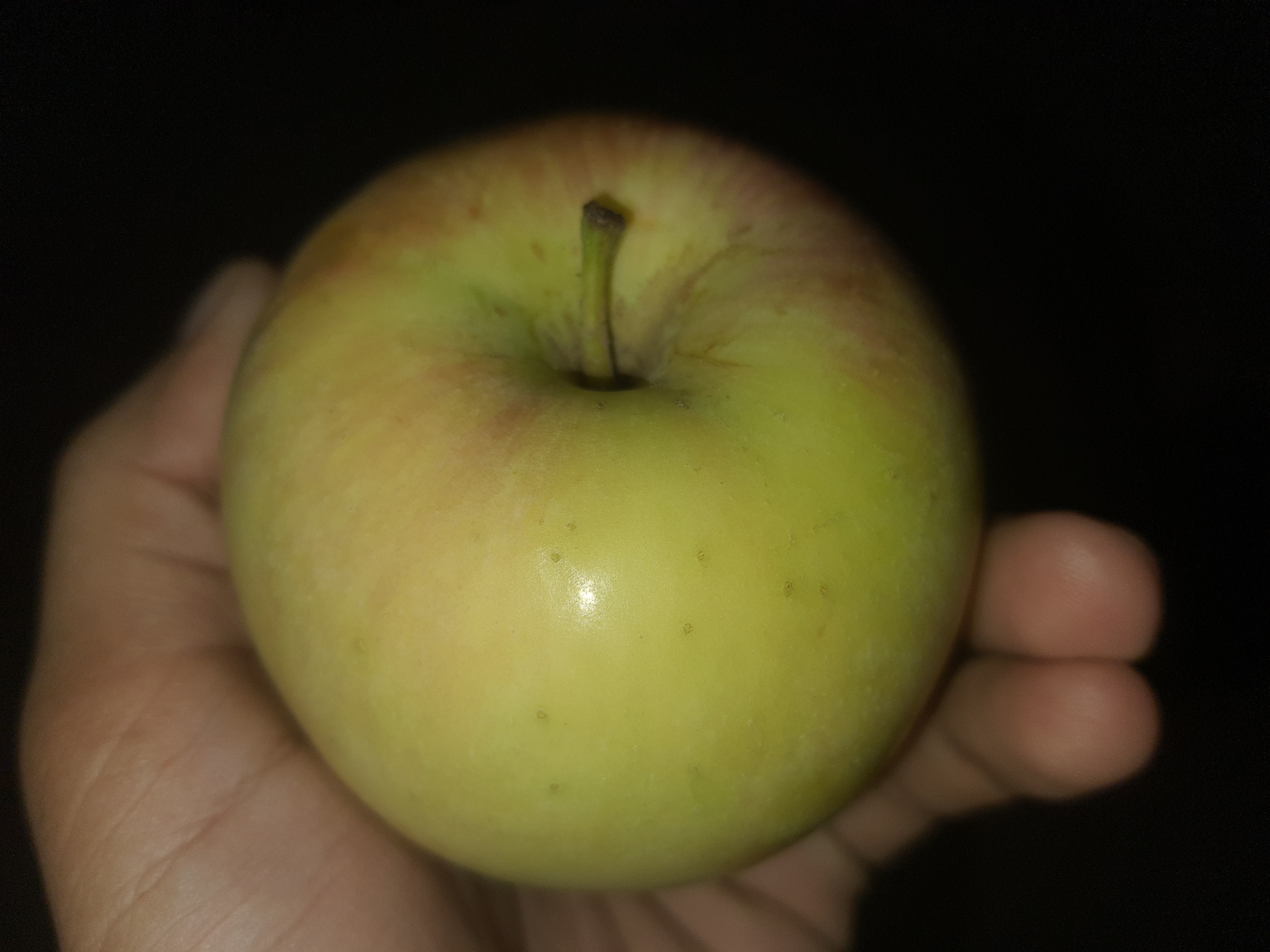 20201009_002840.jpg