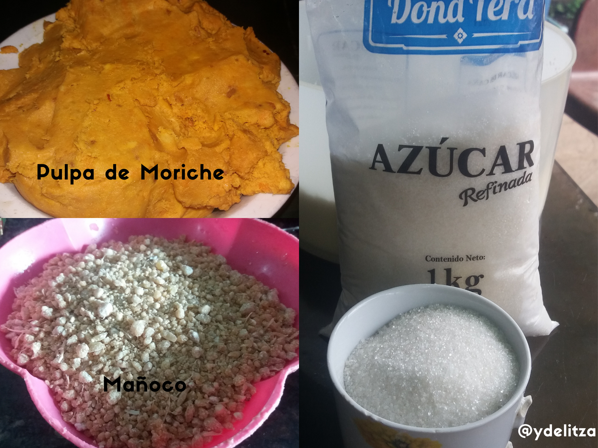 Pulpa de Moriche.png