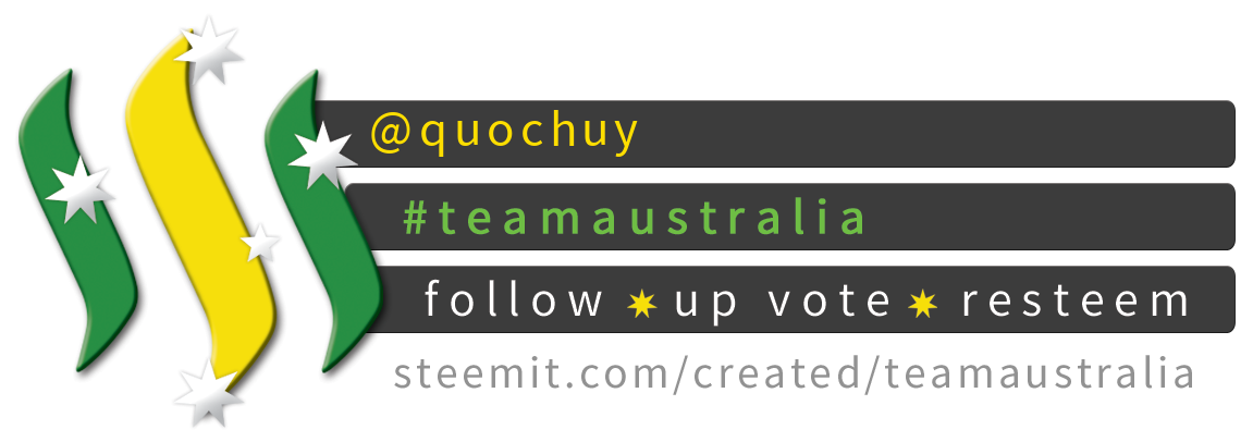 Team Australia Banner