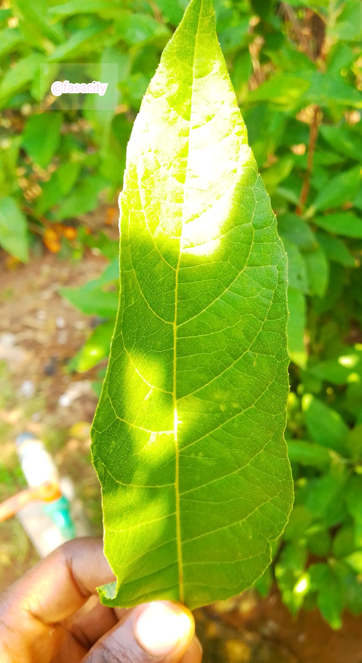 iMarkup_20211111_133349.jpg
