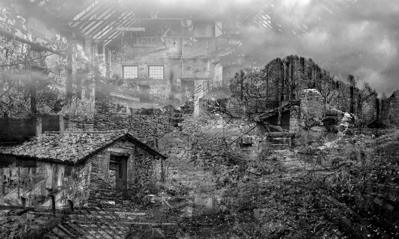 Screen Shot 2020-02-15 at 7.43.36 AM.jpeg