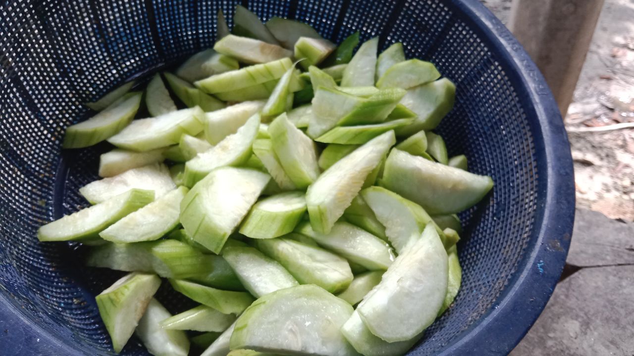 IMG_20251025_062456_353.jpg