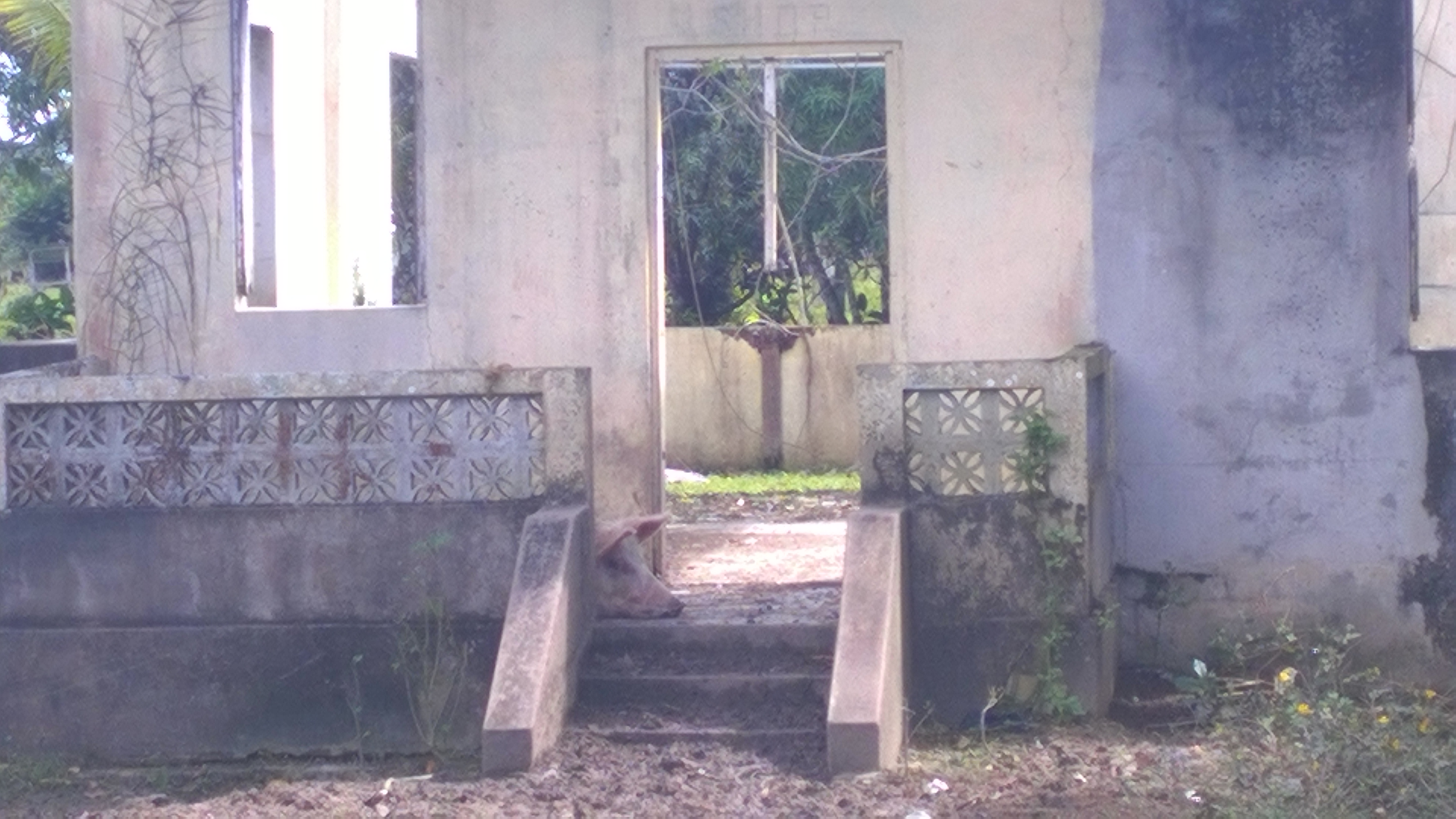 WP_20180217_011.jpg