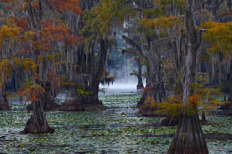 Top-American-Lakes-Caddo2-740x493.jpg